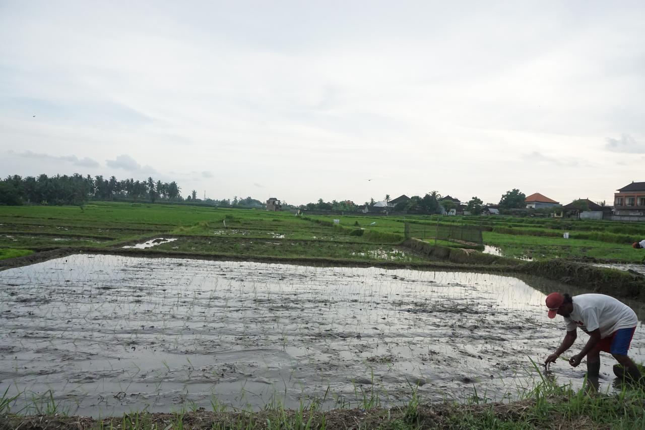 Pondok Uma Ubud Bagian luar foto